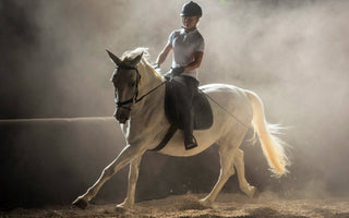 photo équitation