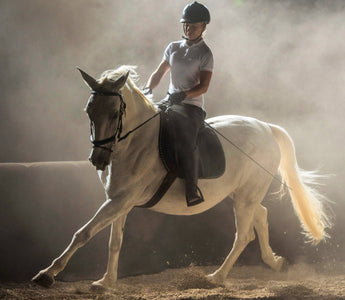 photo équitation