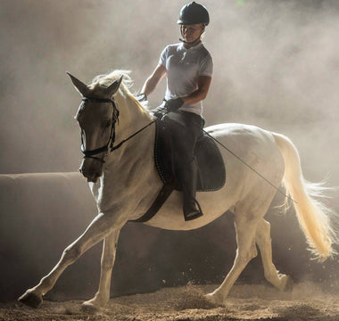 photo équitation