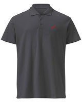Polo Formule 1 - Spirit